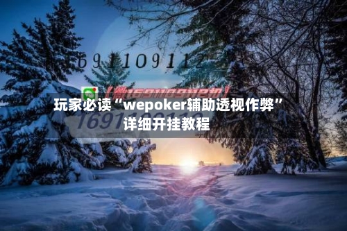 玩家必读“wepoker辅助透视作弊	”详细开挂教程-第2张图片