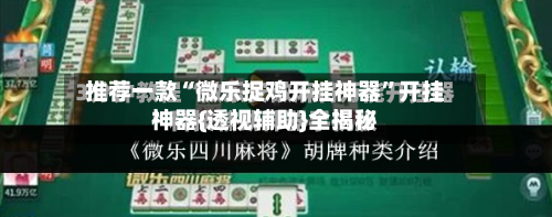 推荐一款“微乐捉鸡开挂神器”开挂神器{透视辅助}全揭秘-第2张图片