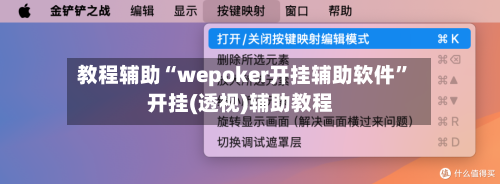 教程辅助“wepoker开挂辅助软件	”开挂(透视)辅助教程-第2张图片