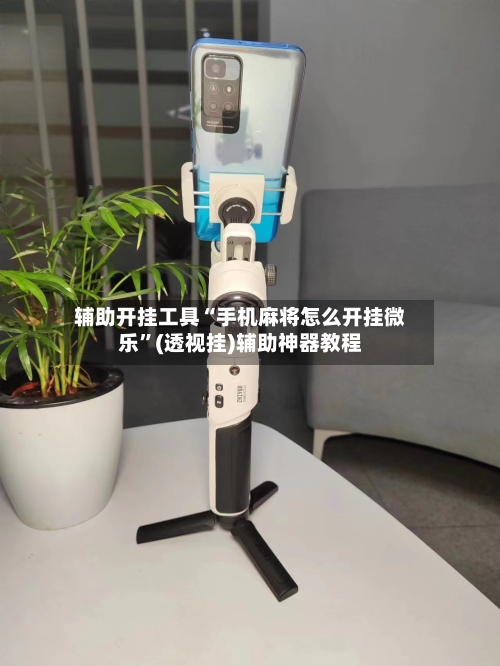 辅助开挂工具“手机麻将怎么开挂微乐”(透视挂)辅助神器教程-第3张图片