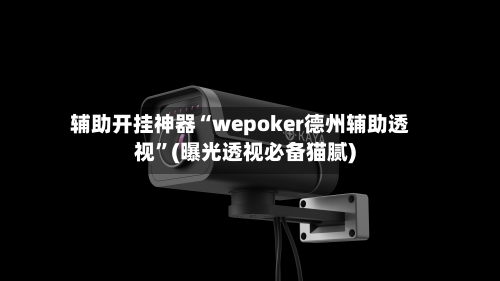 辅助开挂神器“wepoker德州辅助透视”(曝光透视必备猫腻)-第3张图片