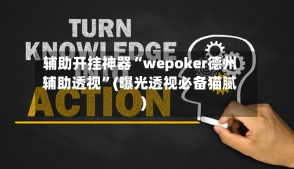 辅助开挂神器“wepoker德州辅助透视”(曝光透视必备猫腻)-第2张图片