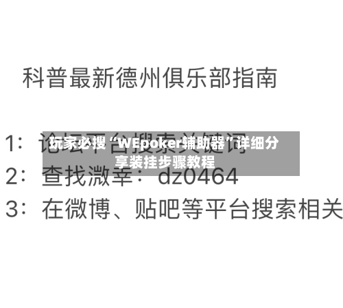 玩家必搜“WEpoker辅助器”详细分享装挂步骤教程-第3张图片
