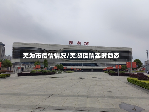 芜为市疫情情况/芜湖疫情实时动态