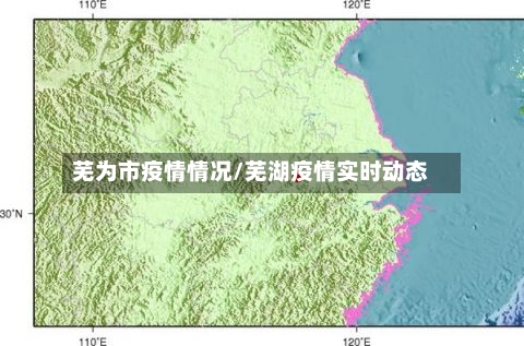 芜为市疫情情况/芜湖疫情实时动态-第3张图片