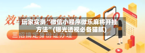 玩家实测“微信小程序微乐麻将开挂方法”(曝光透视必备猫腻)