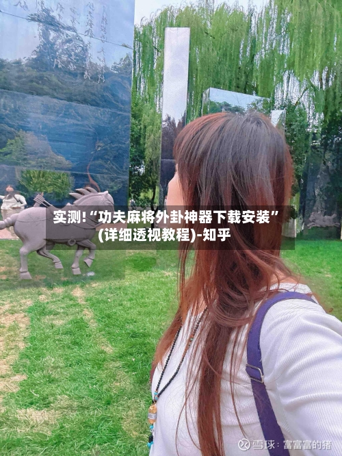 实测!“功夫麻将外卦神器下载安装	”(详细透视教程)-知乎-第2张图片