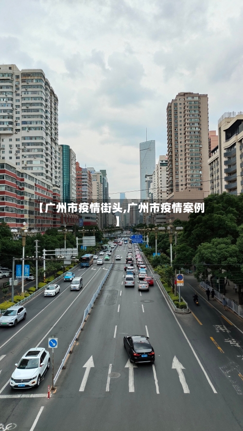 【广州市疫情街头,广州市疫情案例】-第2张图片