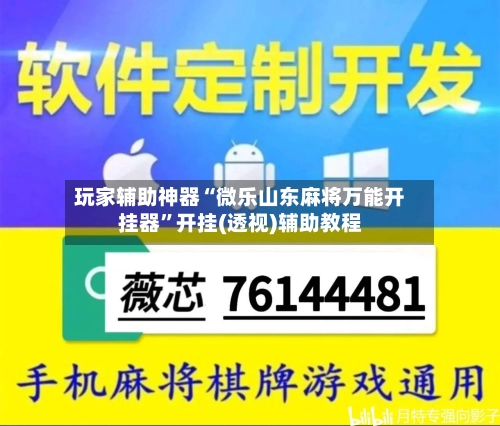 玩家辅助神器“微乐山东麻将万能开挂器	”开挂(透视)辅助教程-第2张图片