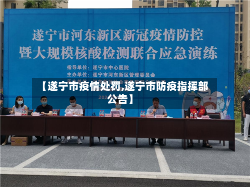 【遂宁市疫情处罚,遂宁市防疫指挥部公告】