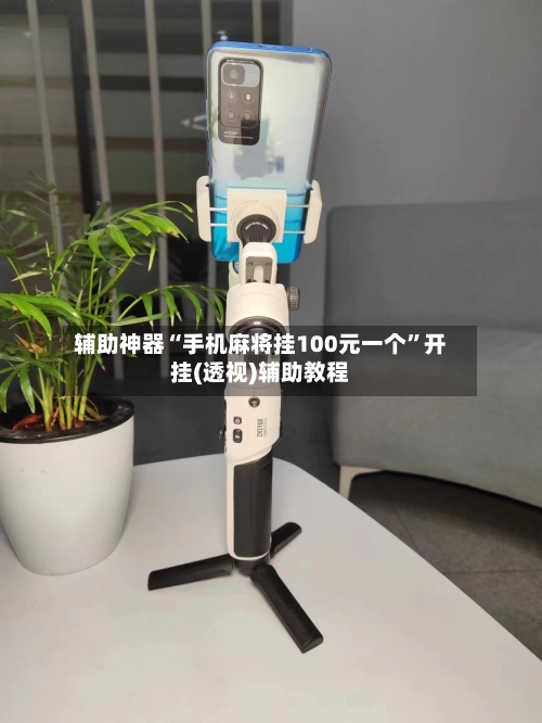 辅助神器“手机麻将挂100元一个”开挂(透视)辅助教程-第3张图片