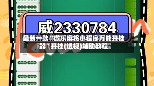 最新一款“微乐麻将小程序万能开挂器”开挂(透视)辅助教程-第2张图片