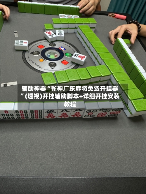 辅助神器“雀神广东麻将免费开挂器”(透视)开挂辅助脚本+详细开挂安装教程-第2张图片