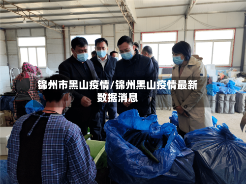 锦州市黑山疫情/锦州黑山疫情最新数据消息-第2张图片