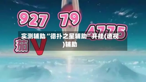 实测辅助“德扑之星辅助”开挂(透视)辅助-第3张图片