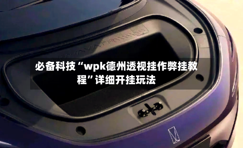 必备科技“wpk德州透视挂作弊挂教程”详细开挂玩法-第3张图片
