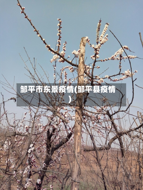 邹平市东景疫情(邹平县疫情)