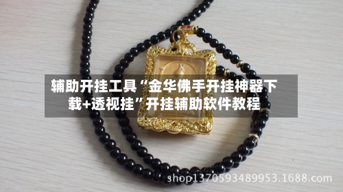 辅助开挂工具“金华佛手开挂神器下载+透视挂”开挂辅助软件教程-第3张图片