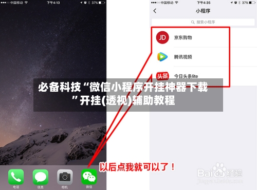 必备科技“微信小程序开挂神器下载”开挂(透视)辅助教程-第3张图片
