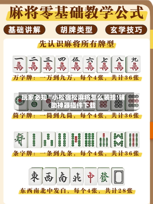 玩家必知“小松宿松麻将怎么装挂!辅助神器插件下载-第2张图片