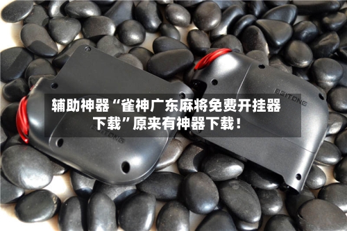 辅助神器“雀神广东麻将免费开挂器下载	”原来有神器下载！-第2张图片