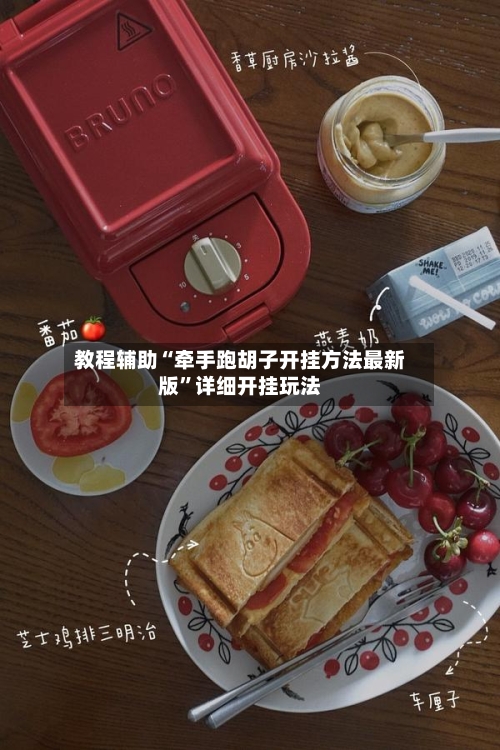 教程辅助“牵手跑胡子开挂方法最新版”详细开挂玩法-第3张图片