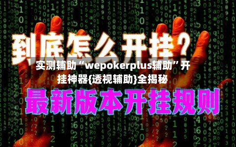 实测辅助“wepokerplus辅助”开挂神器{透视辅助}全揭秘-第2张图片