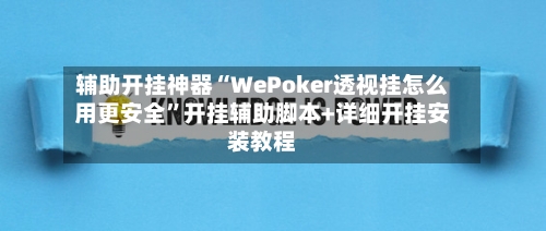 辅助开挂神器“WePoker透视挂怎么用更安全	”开挂辅助脚本+详细开挂安装教程-第2张图片