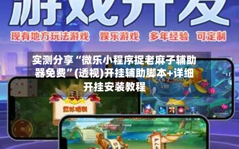 实测分享“微乐小程序捉老麻子辅助器免费”(透视)开挂辅助脚本+详细开挂安装教程-第2张图片