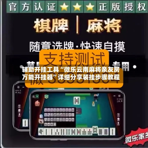 辅助开挂工具“微乐云南麻将亲友房万能开挂器”详细分享装挂步骤教程-第3张图片
