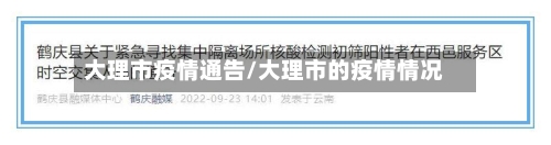大理市疫情通告/大理市的疫情情况-第2张图片