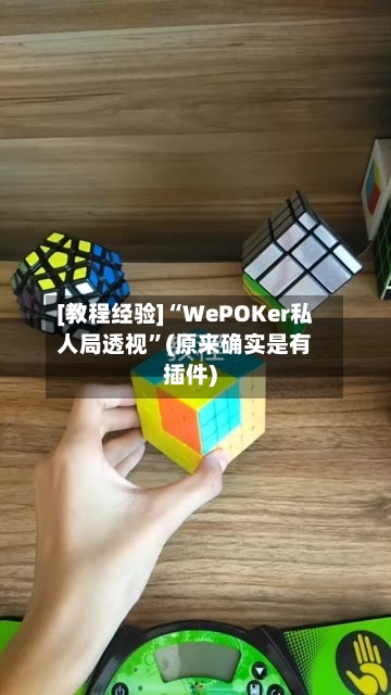 [教程经验]“WePOKer私人局透视”(原来确实是有插件)-第2张图片
