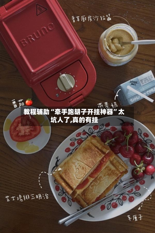 教程辅助“牵手跑胡子开挂神器”太坑人了,真的有挂-第2张图片