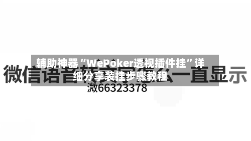辅助神器“WePoker透视插件挂”详细分享装挂步骤教程-第3张图片