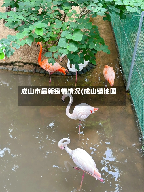 成山市最新疫情情况(成山镇地图)