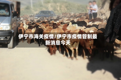 伊宁市海关疫情/伊宁市疫情管制最新消息今天