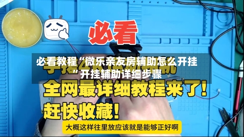 必看教程“微乐亲友房辅助怎么开挂”开挂辅助详细步骤-第2张图片