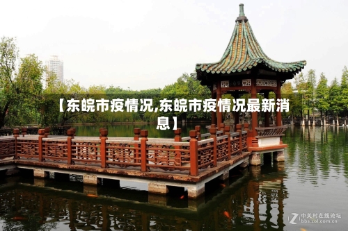 【东皖市疫情况,东皖市疫情况最新消息】