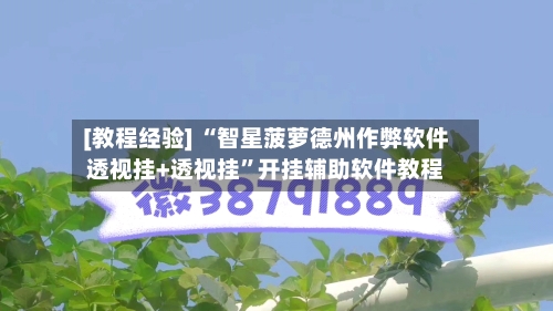 [教程经验] “智星菠萝德州作弊软件透视挂+透视挂”开挂辅助软件教程-第2张图片