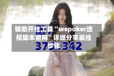 辅助开挂工具“wepoker透视脚本官网”详细分享装挂步骤-第2张图片