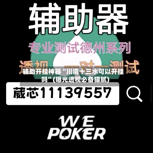 辅助开挂神器“川渝十三水可以开挂吗”(曝光透视必备猫腻)