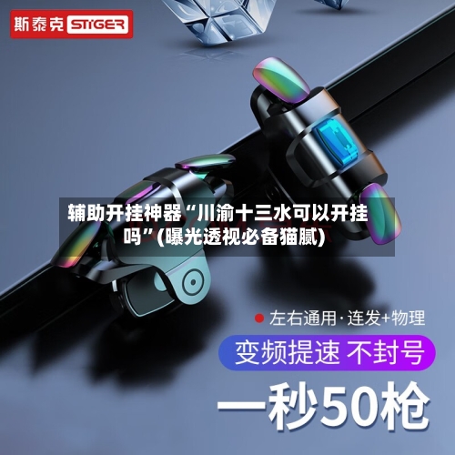 辅助开挂神器“川渝十三水可以开挂吗	”(曝光透视必备猫腻)-第2张图片