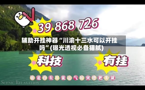 辅助开挂神器“川渝十三水可以开挂吗”(曝光透视必备猫腻)-第3张图片