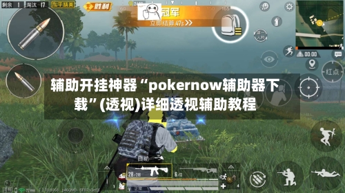 辅助开挂神器“pokernow辅助器下载”(透视)详细透视辅助教程-第3张图片