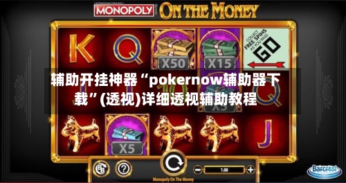 辅助开挂神器“pokernow辅助器下载”(透视)详细透视辅助教程