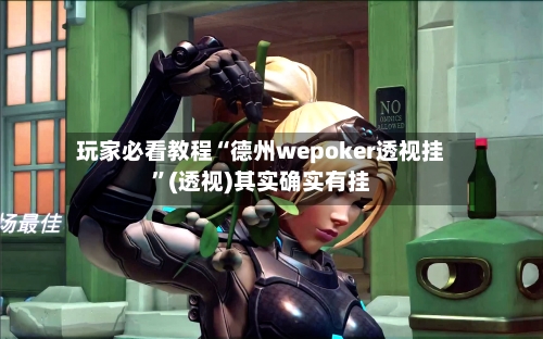 玩家必看教程“德州wepoker透视挂	”(透视)其实确实有挂-第2张图片