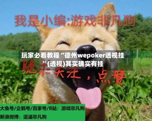 玩家必看教程“德州wepoker透视挂”(透视)其实确实有挂-第3张图片