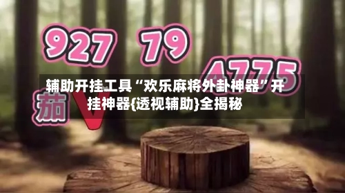 辅助开挂工具“欢乐麻将外卦神器”开挂神器{透视辅助}全揭秘-第2张图片