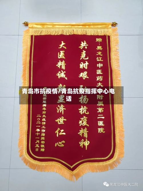 青岛市抗疫情/青岛抗疫指挥中心电话-第2张图片