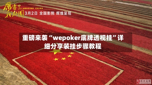 重磅来袭“wepoker底牌透视挂	”详细分享装挂步骤教程-第2张图片
